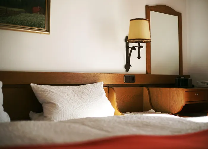 St. Georg Hotel 3*
